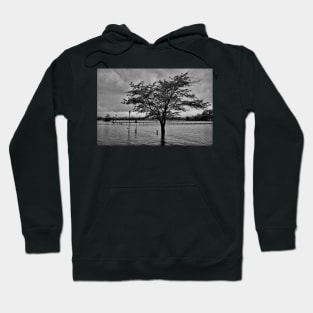 STL Flood Study 1 Hoodie